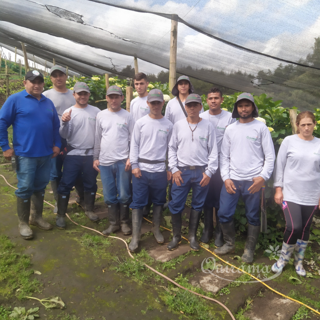 gallery/Diseño sin título (11)