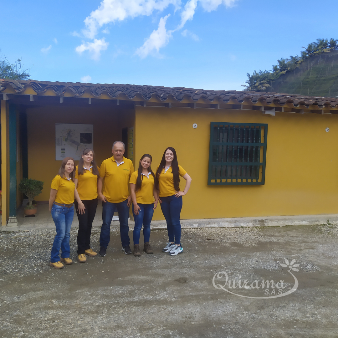 gallery/Diseño sin título (16)