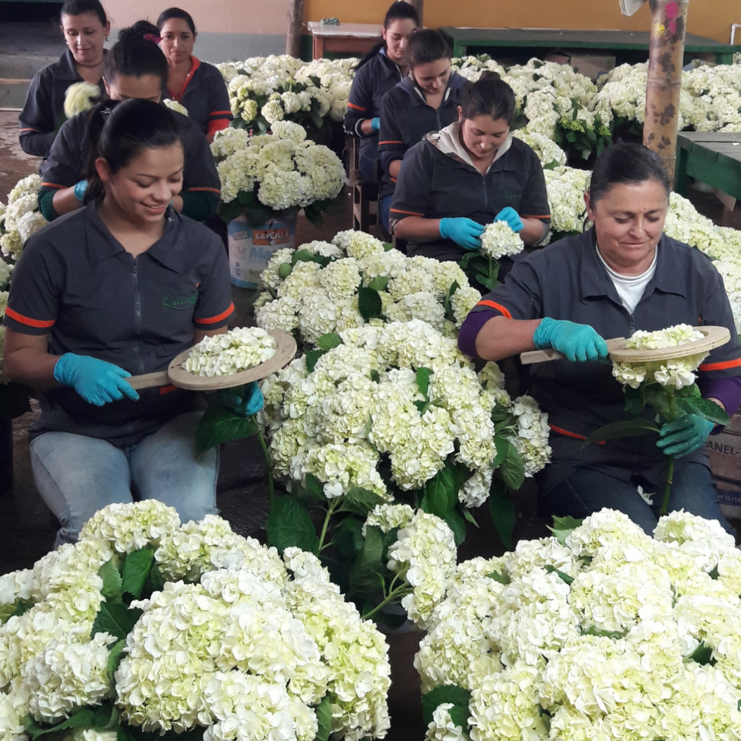 gallery/Diseño sin título (8)